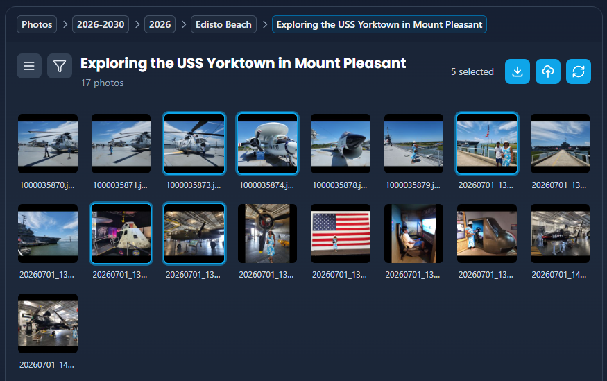 Albums grid with multiple photos selected - screenshot pending