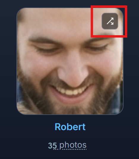 Merge people Icon