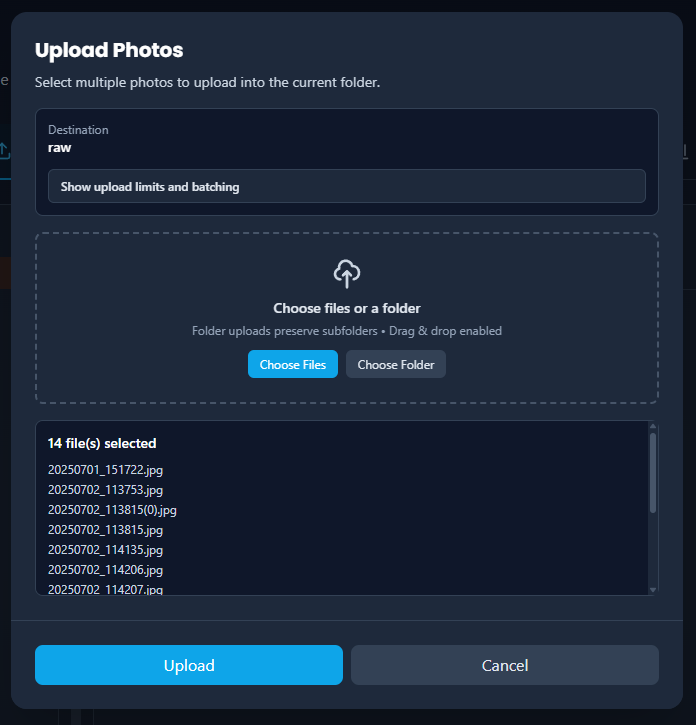 Upload modal with file selection tree